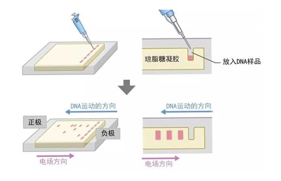 品牌审计评估：打造品牌强势竞争力的关键之道