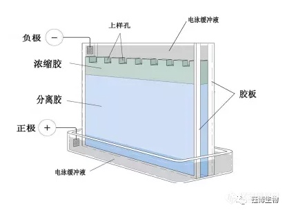 品牌信仰资产：让品牌更具灵魂的秘密武器